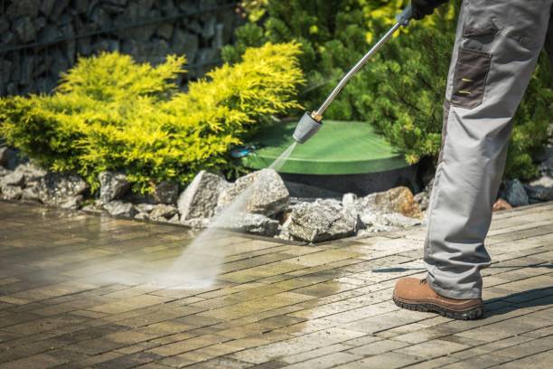 Animal Enclosure Cleaning in Crozet, VA