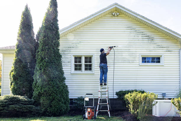 Professional Pressure Washing Services in Crozet, VA